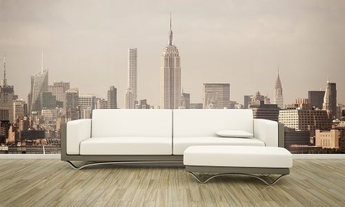 Wall and Window Murals