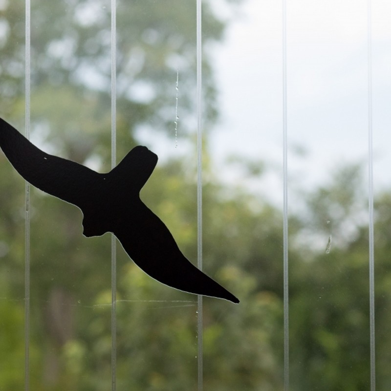Feather Friendly Bird Safety Film – Collision Prevention Solution Bird-safe Feather Friendly window film installed by Guardian Bastille to prevent bird collisions while maintaining building transparency.